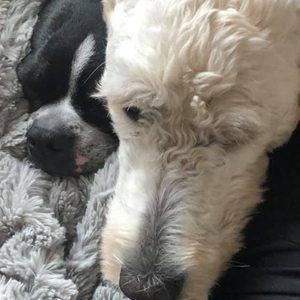 Meet your Posher, Jill